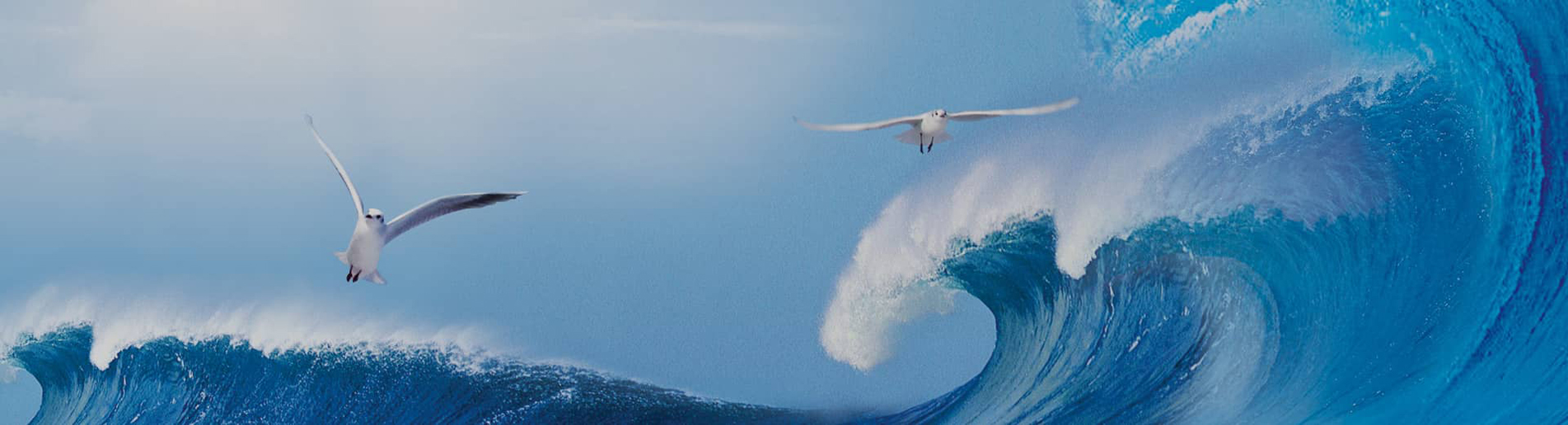 關(guān)于我們banner1