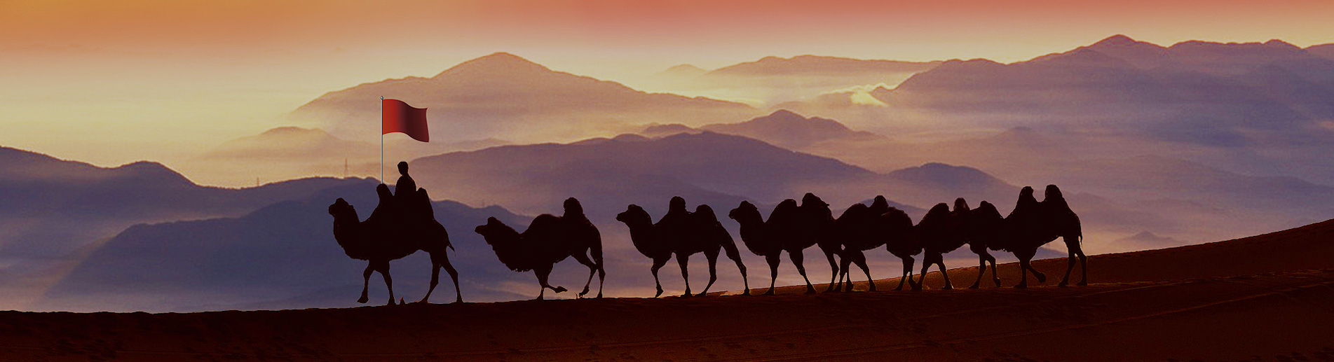 關(guān)于我們banner2