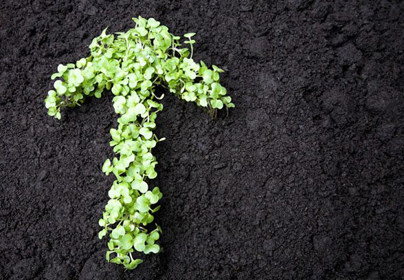 產(chǎn)業(yè)觀察｜首部土壤污染防治法落地吹響“凈土保衛(wèi)戰(zhàn)”號(hào)角