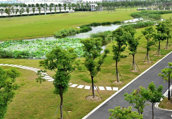 綠色創(chuàng)新！蘇州工業(yè)園區(qū)污水處理廠“變身”生態(tài)公園